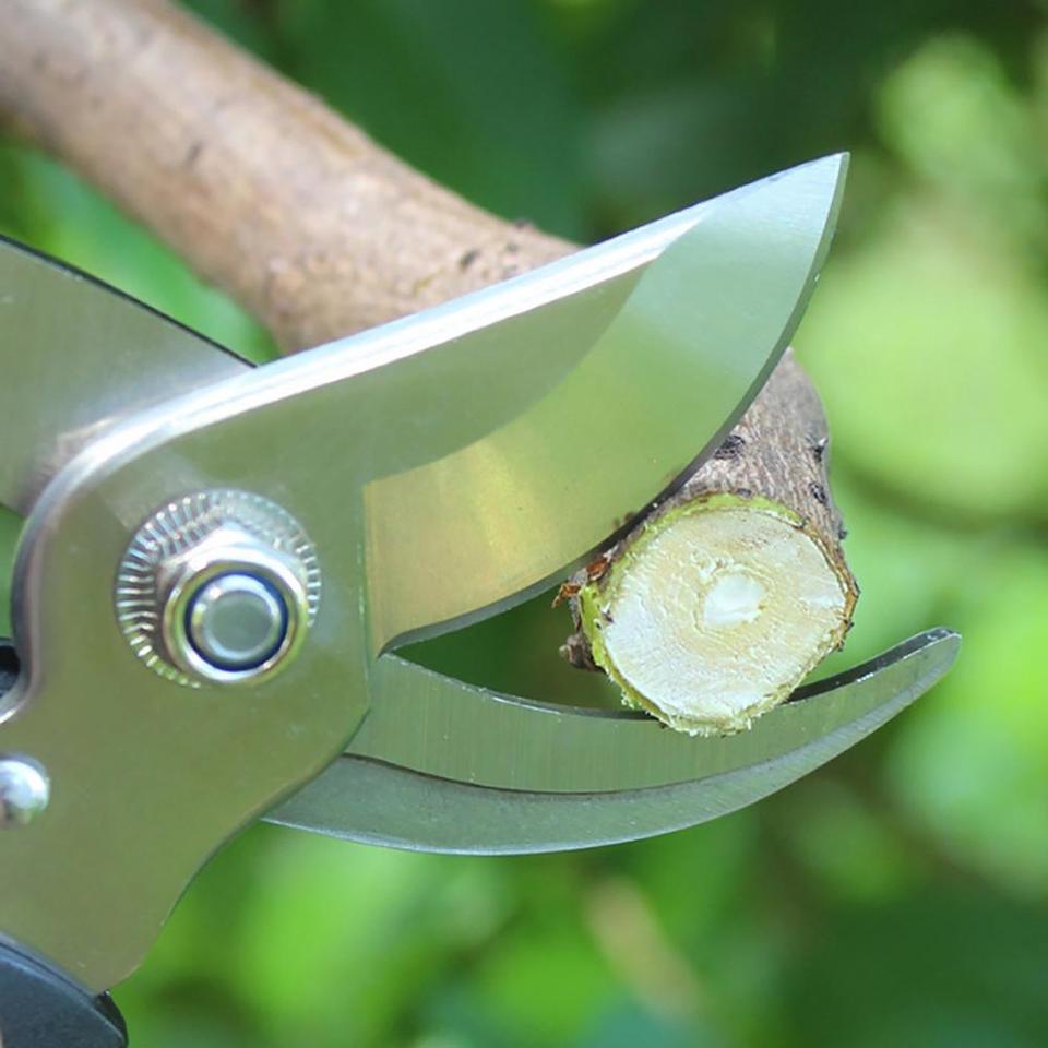 Pruning Shears for Shrub and Branch Cutting in Garden - Image 8