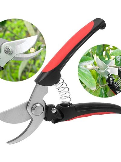 Pruning Shears for Shrub and Branch Cutting in Garden