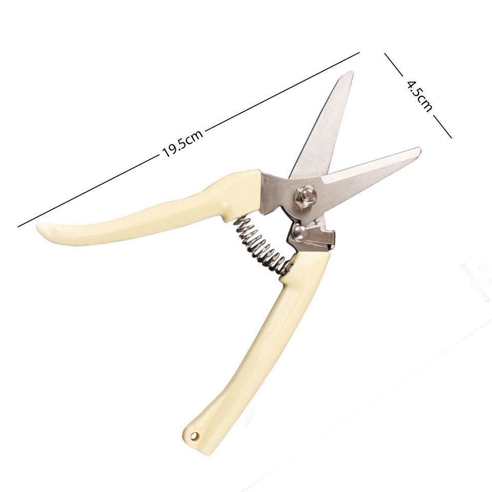 Pruning Shears for Shrub and Branch Cutting in Garden - Image 3
