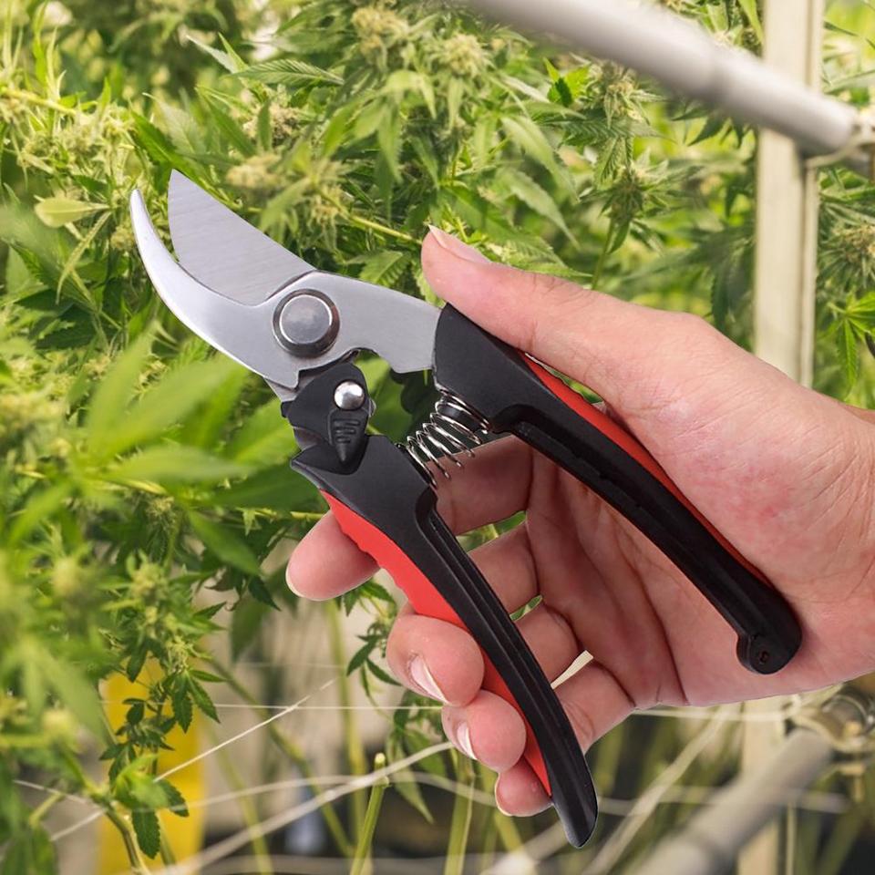 Pruning Shears for Shrub and Branch Cutting in Garden - Image 5