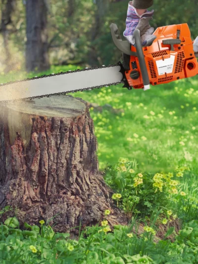 72CC 24 Inch Gas Chainsaw 2-Stroke Portable Gasoline Powered Chain Saw