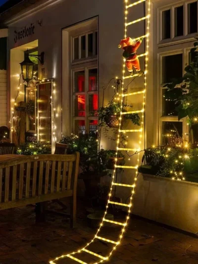 Santa Claus Climbing Ladder