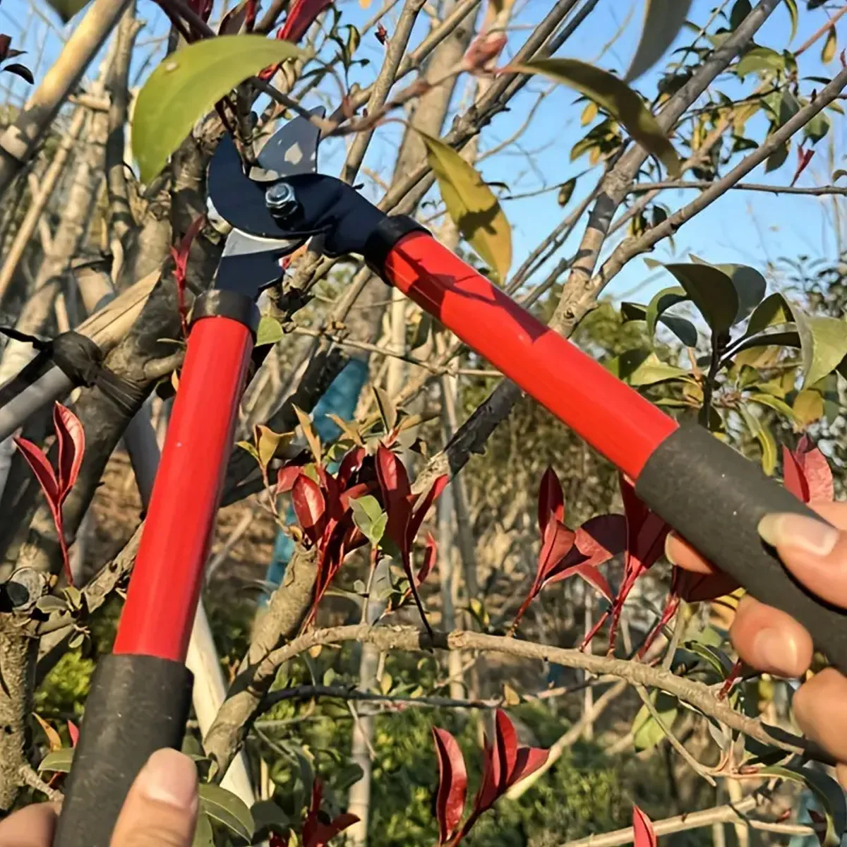 Pruning Shears Portable Pruner Garden Bonsai Plants Farm Home Pruning Equipment - Image 3
