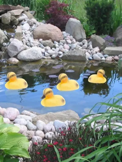 5Pack Floating Duck Fish Pond Ornament Plastic Duck-lings