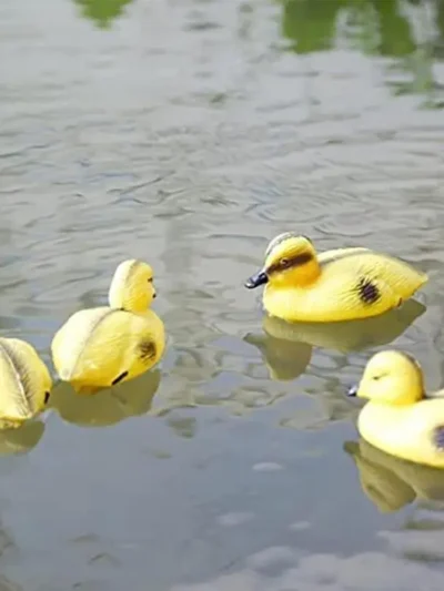 5Pack Floating Duck Fish Pond Ornament Plastic Duck-lings Decoy Mallard For Garden Yard Lawn Decor For Lake Pond Park Pool