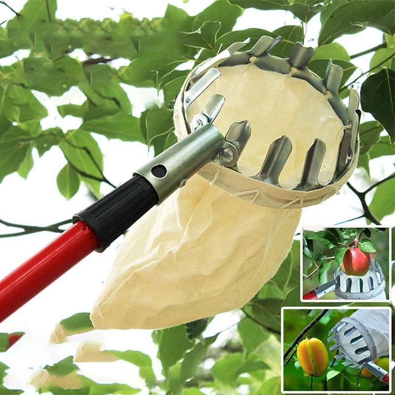 Metal Fruit Picker Farm Garden Supplies - Image 3