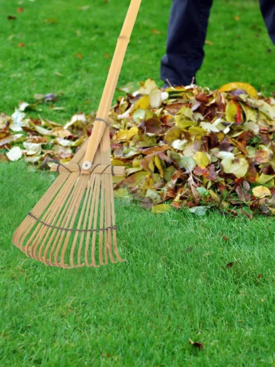 Bamboo Bear Hand Gardening Tools Props Planting Rake Rakes Big Lawn Yard Cultivator Shrub Wooden Small Child Soil Loosening