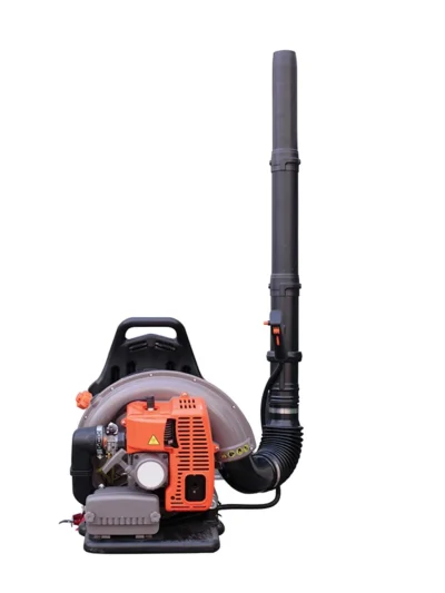 EB650P Professional Gas Snow Blower 2.7kW Powerful Backpack Wind Sweeper Back Pack Leaf Blower With CE/CPA/EURO V