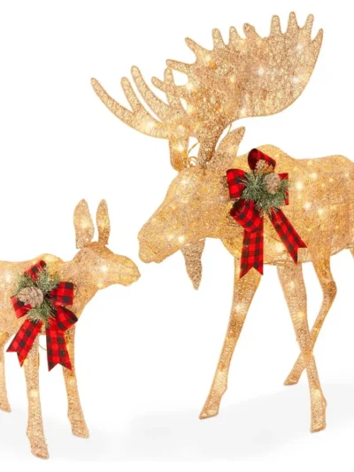 2-Piece Moose Family, Lighted Outdoor All-Weather Christmas Yard Decoration Light-Up Décor