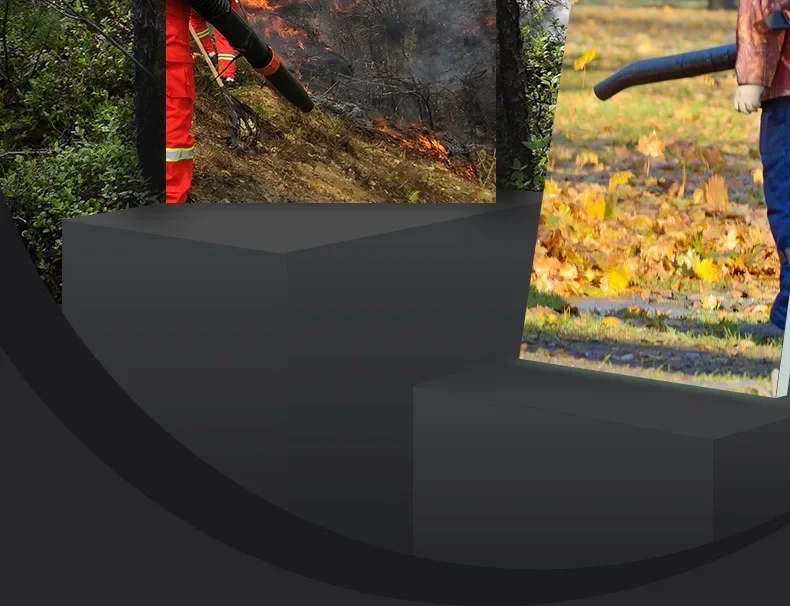 EB808 Air Blower Wireless Two Stroke Garden Leaf Blower 42.7cc Backpack High Power Gasoline Snow Blower Dust Collector Tools - Image 13