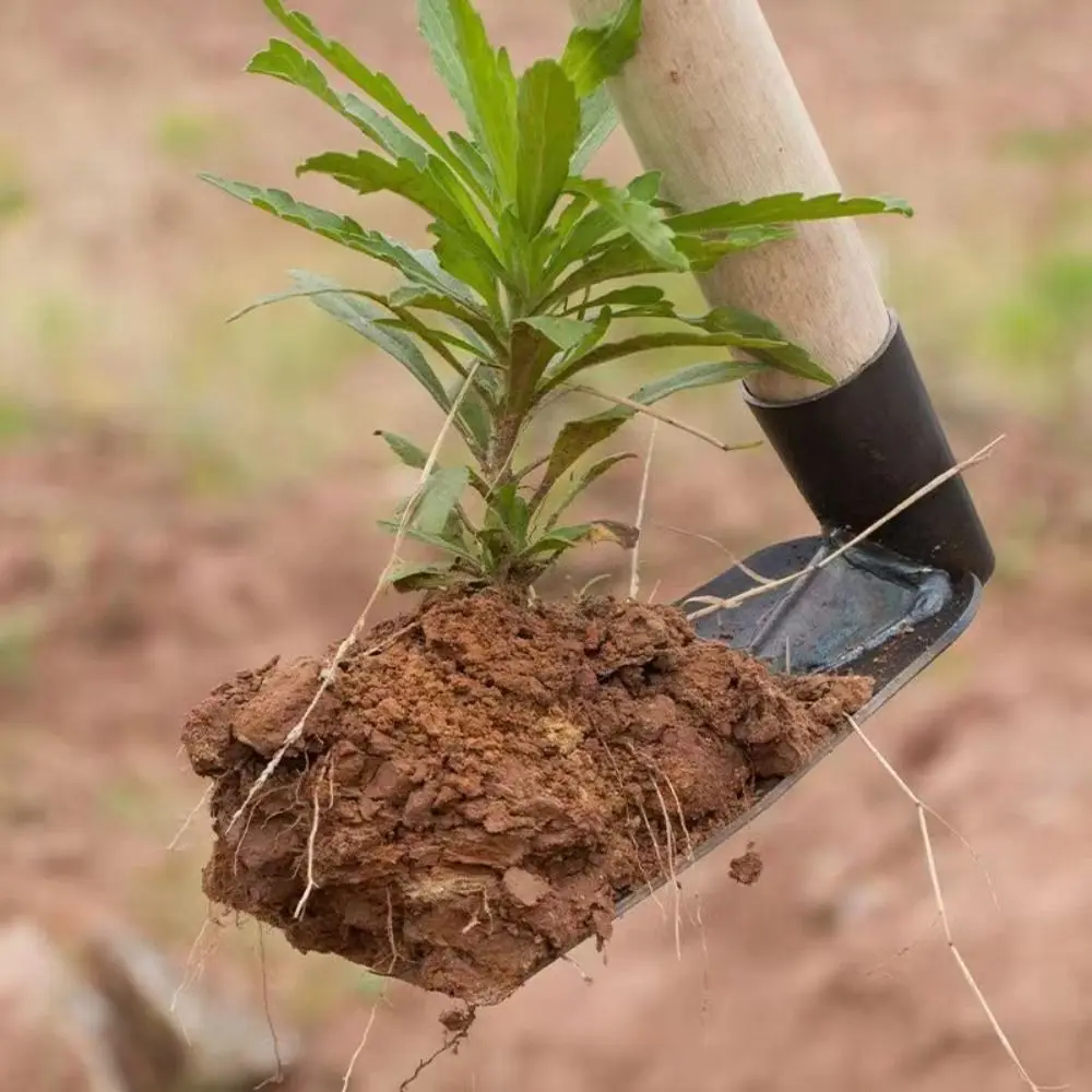 Durable Garden Hoe - Image 4