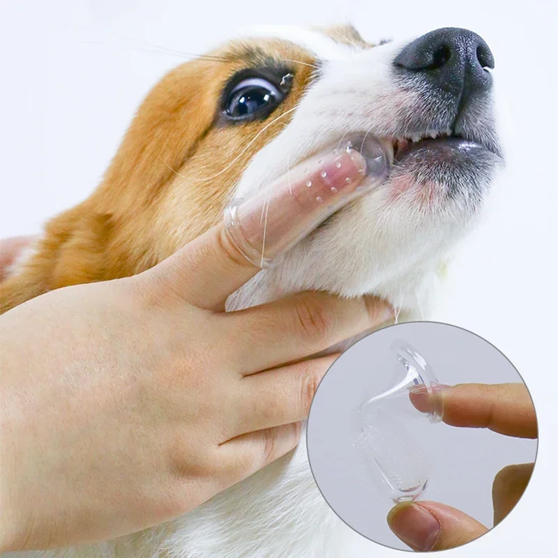 Super Soft Pet Finger Toothbrush Teddy Dog Brush - Image 13